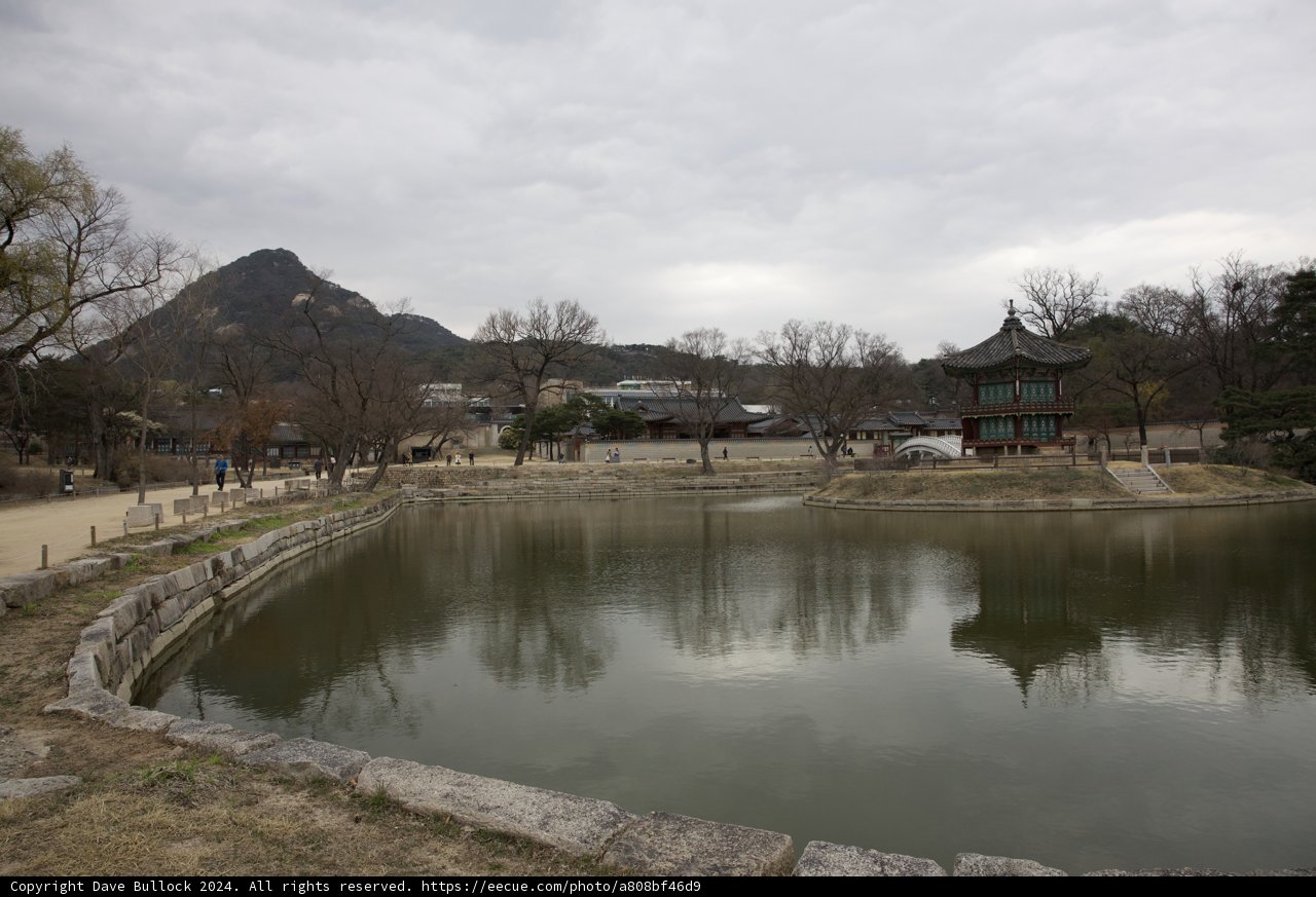 Serene Moments at the Pond's Edge