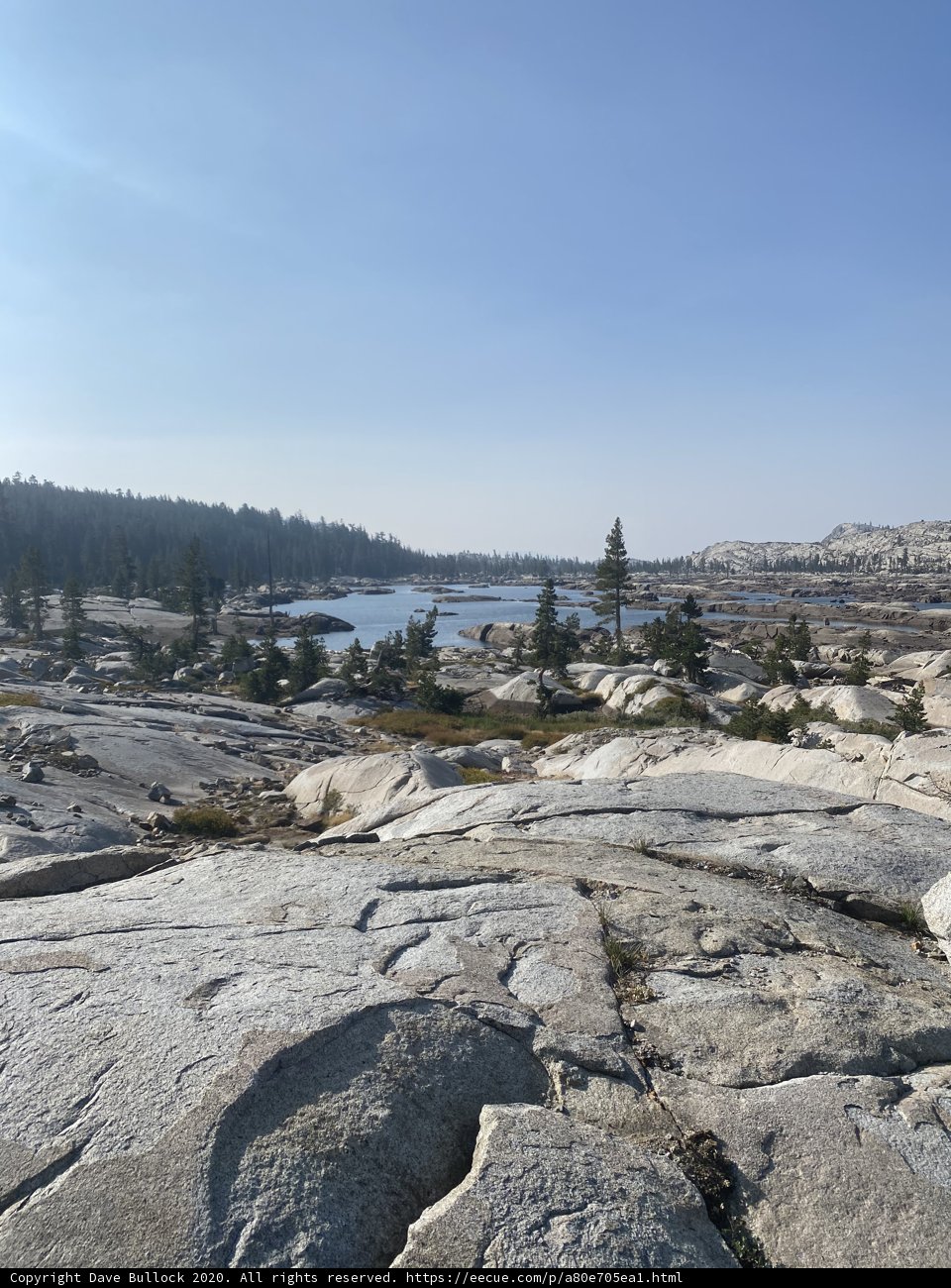Rocky Shoreline and Evergreen Trees Overlooking the Ocean