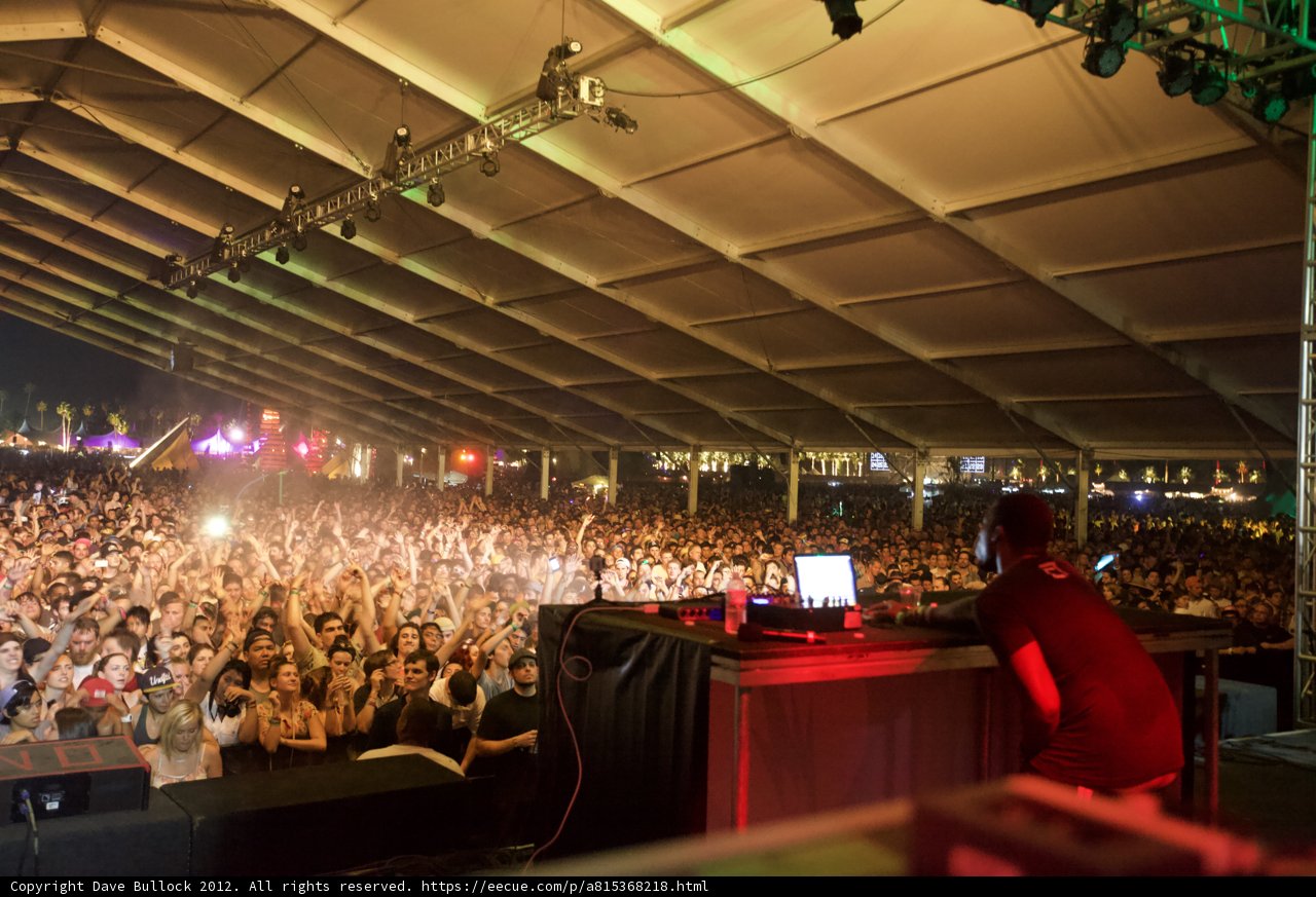 DJ Rocking the Crowd at Coachella