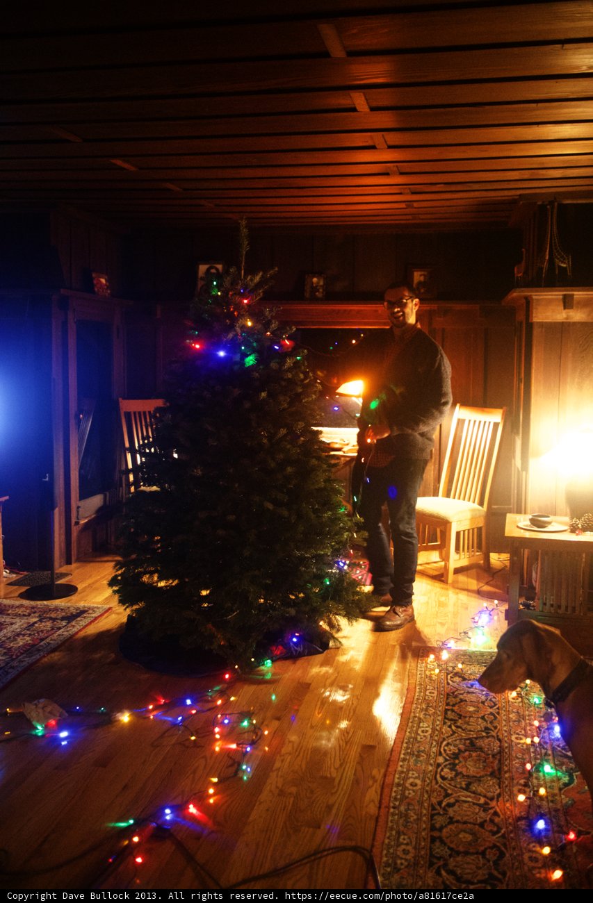 Festive Man Standing By Lighting Christmas Tree