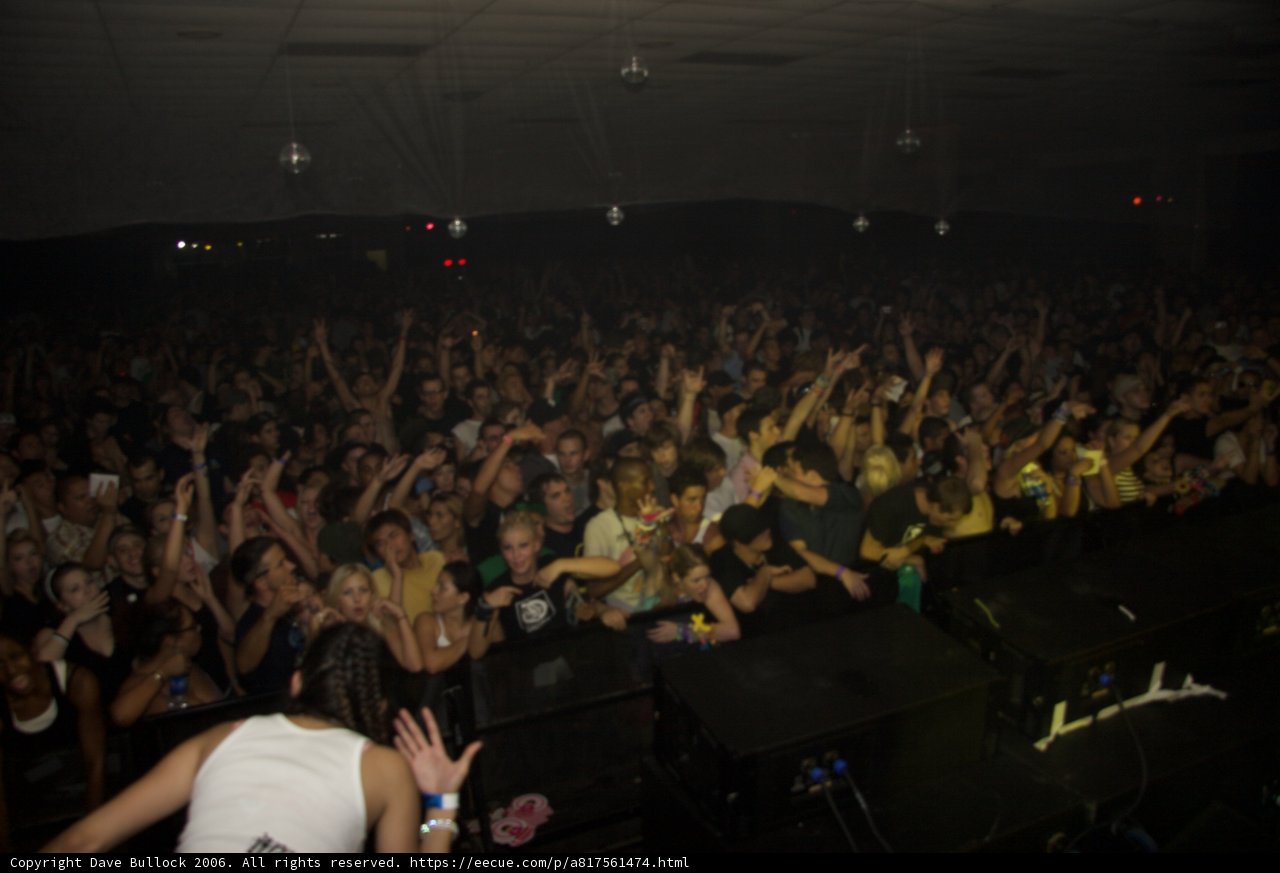Rave Night: A Frenzy of Lights and Sounds