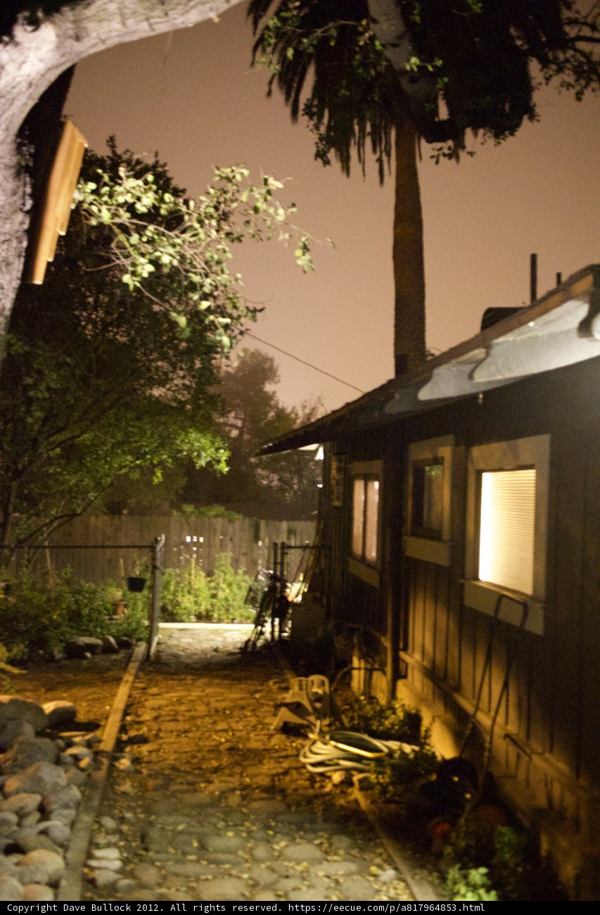 The Cozy Hut by the Tree