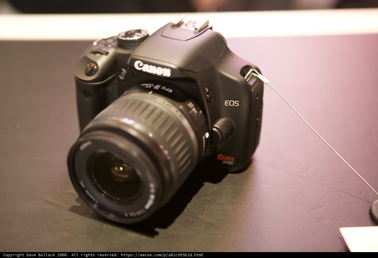Canon EOS Rebel T2i: The Perfect Camera for Recreation