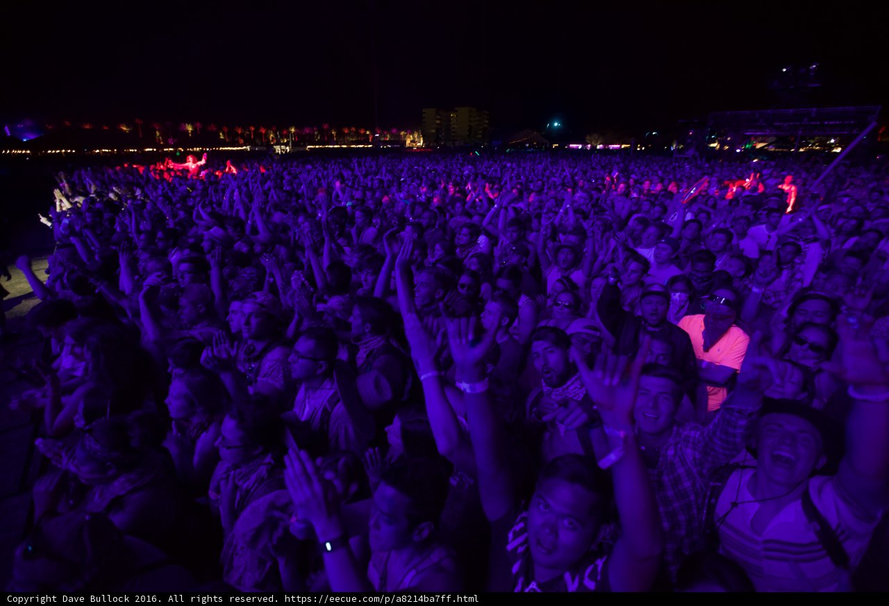 Hands Up in the Night Sky