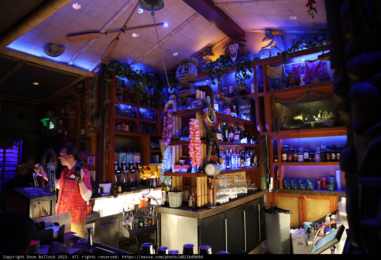 Night Out at the Happiest Bar on Earth