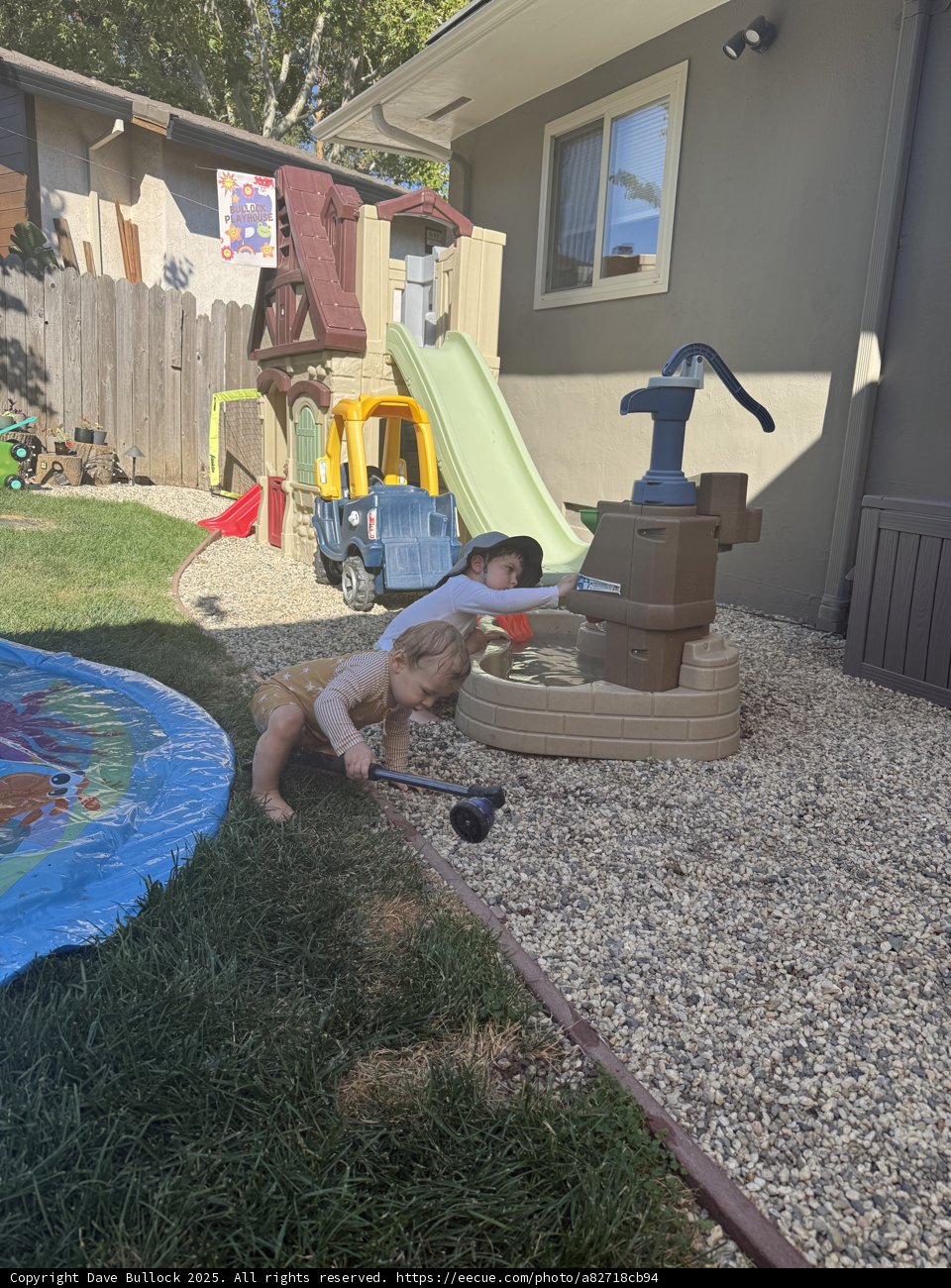 Summer Fun in the Backyard