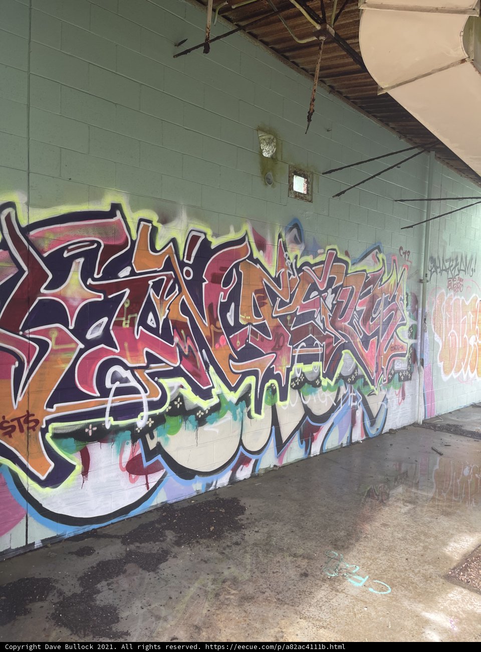 Wall Art in the Wilderness