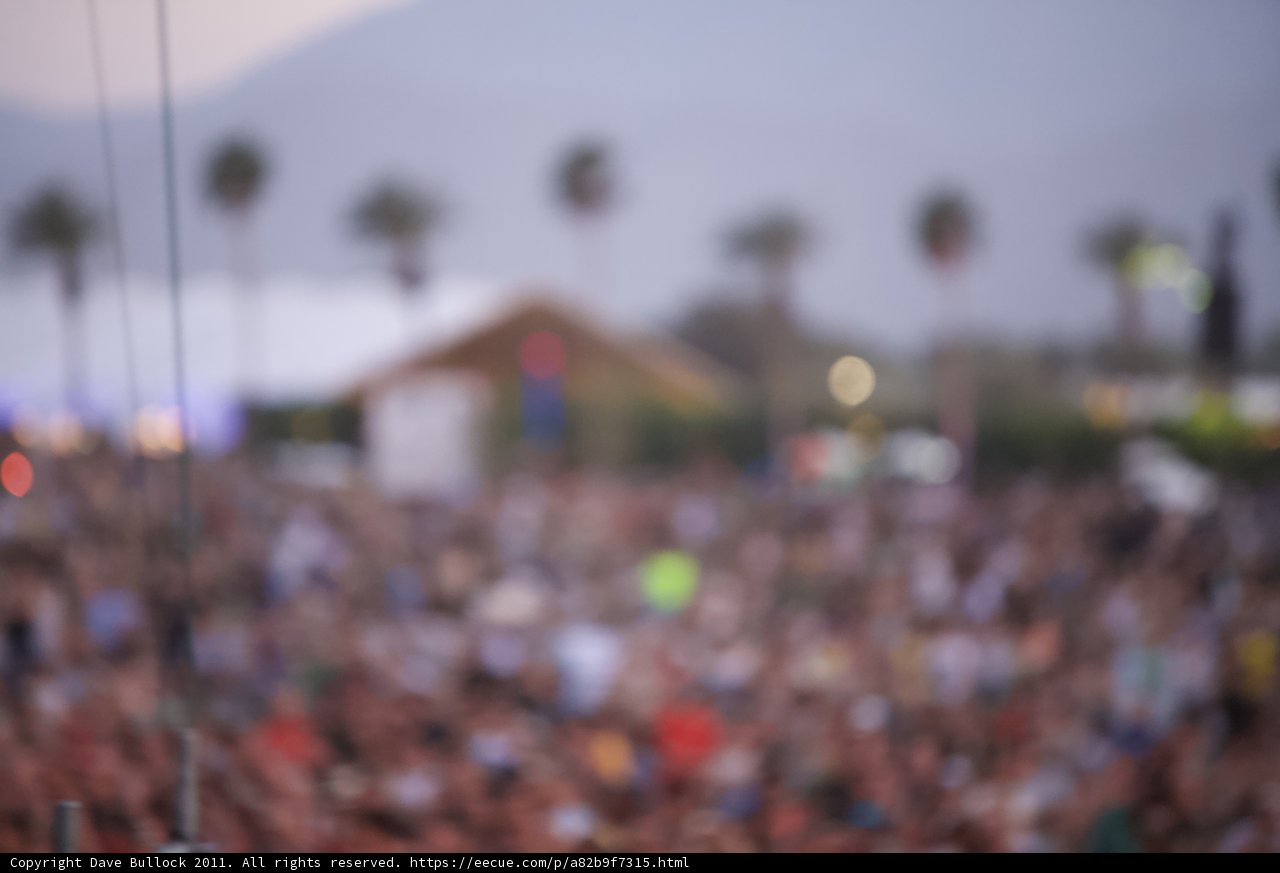 A Sea of Fans