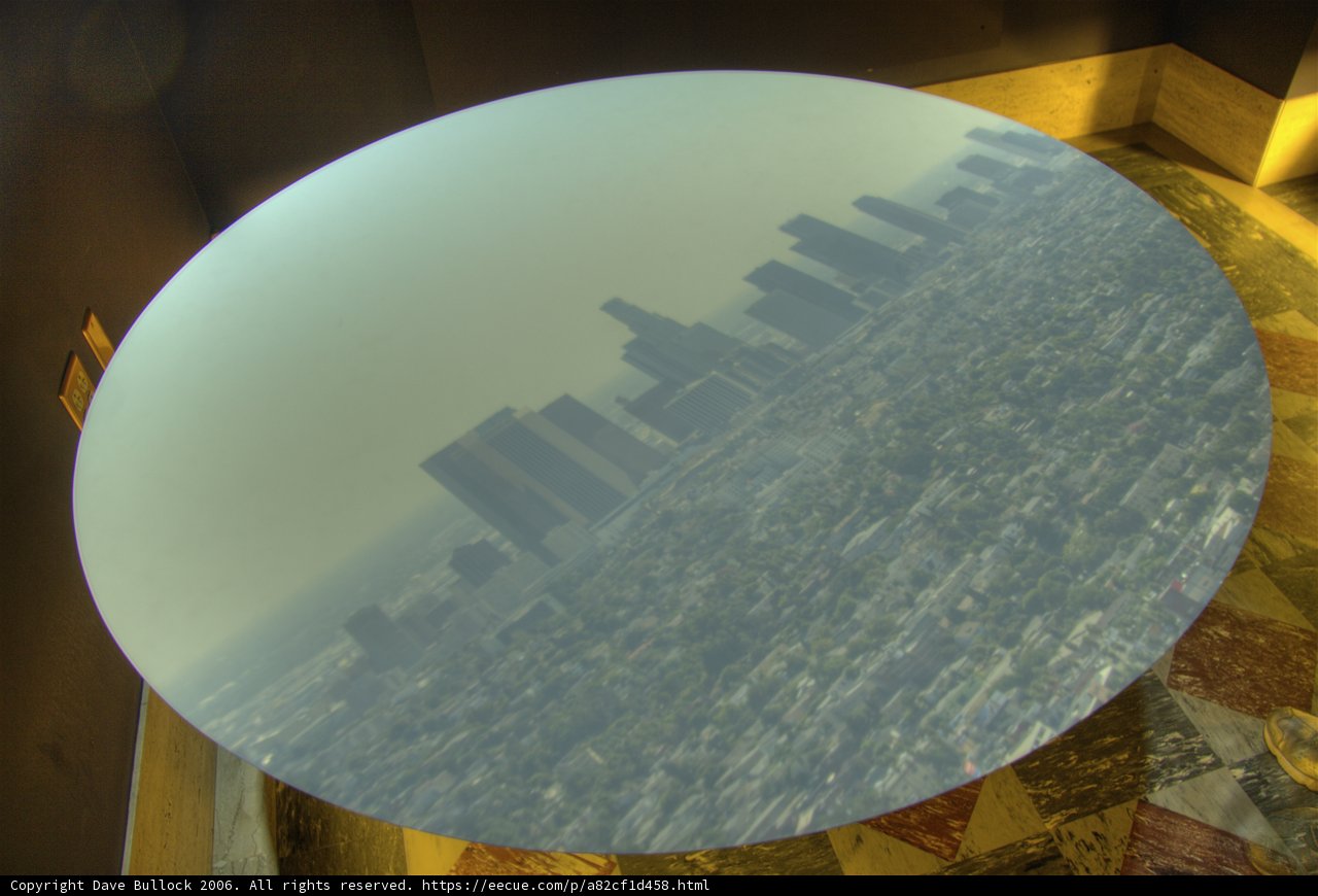 Reflections of Nature on a Unique Coffee Tabletop