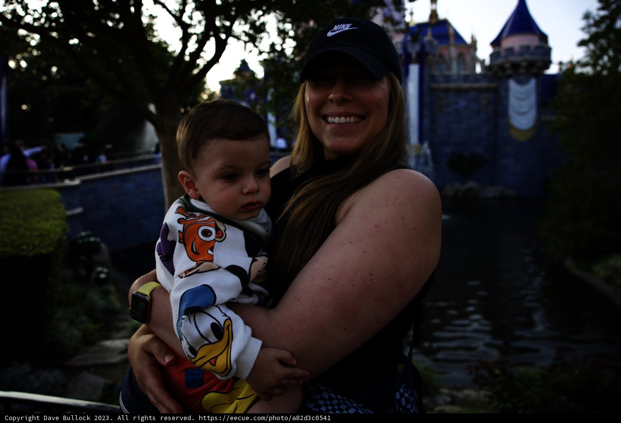 Magical Moments at Disneyland