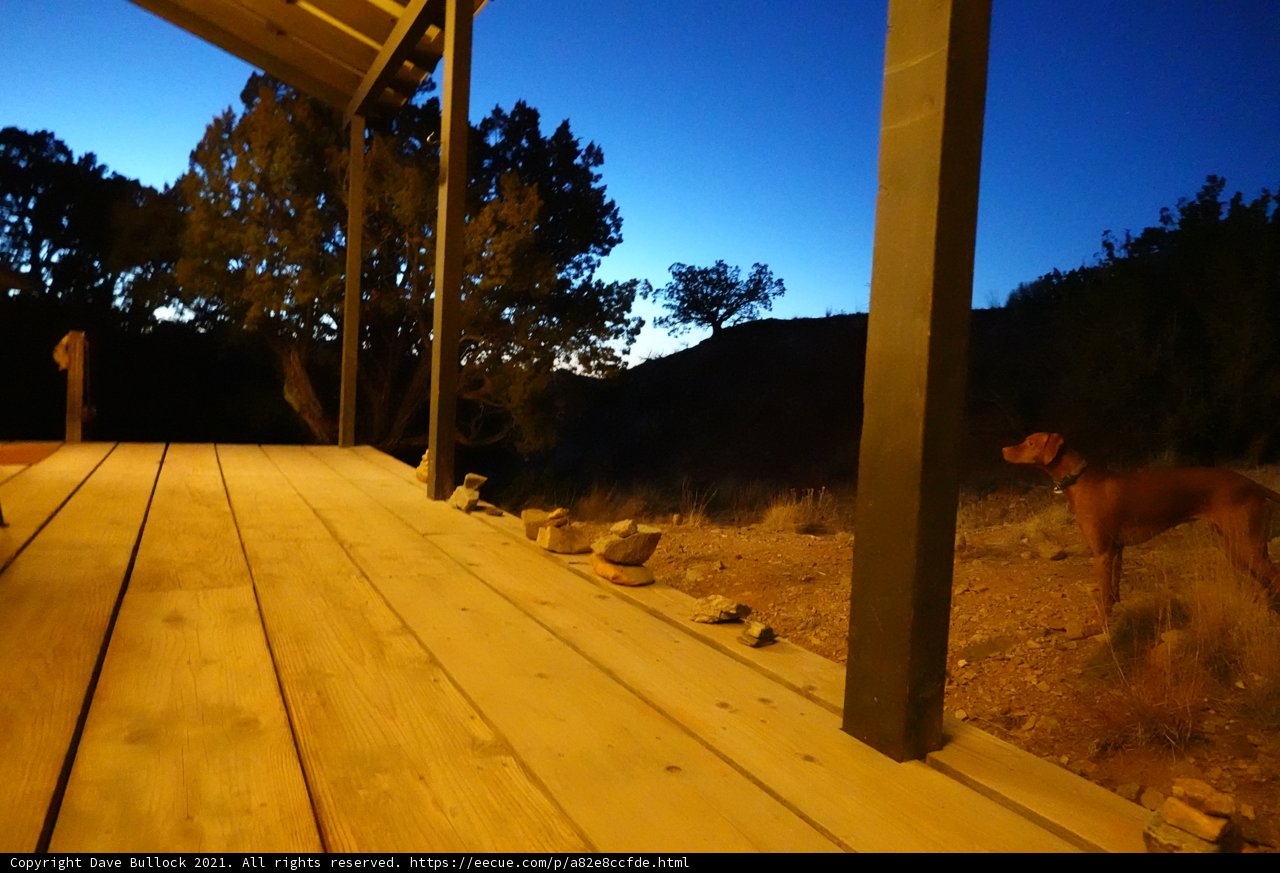 Deck Dog at Dusk
