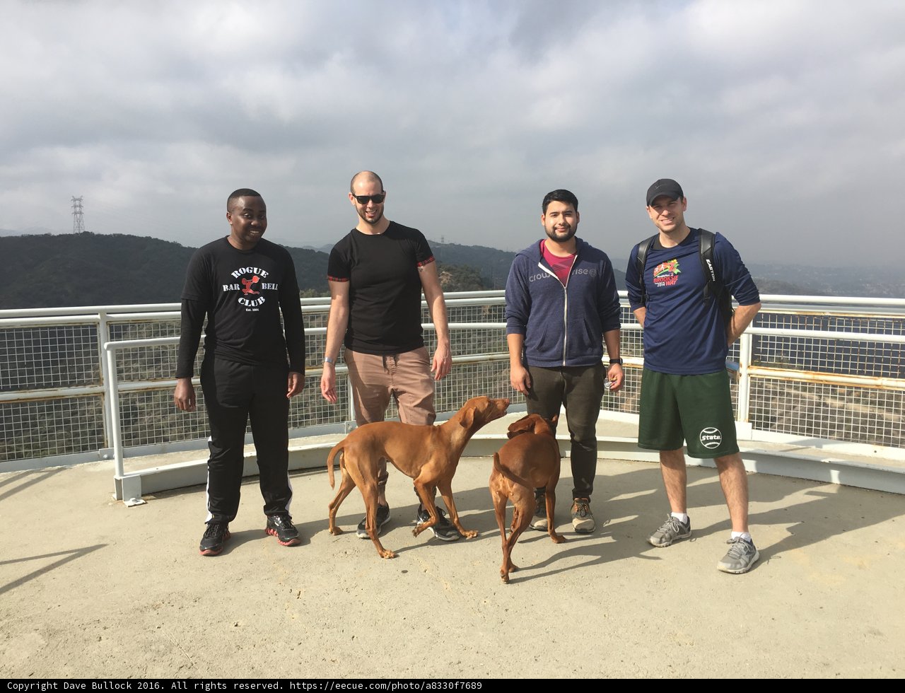 Boys and their dog take in the view