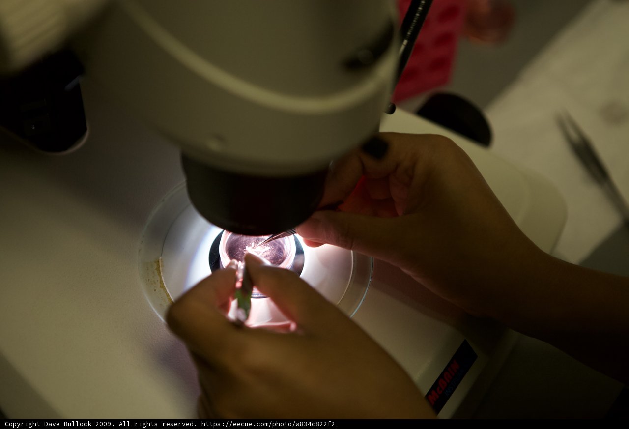 Examining the Small World Beneath our Fingers