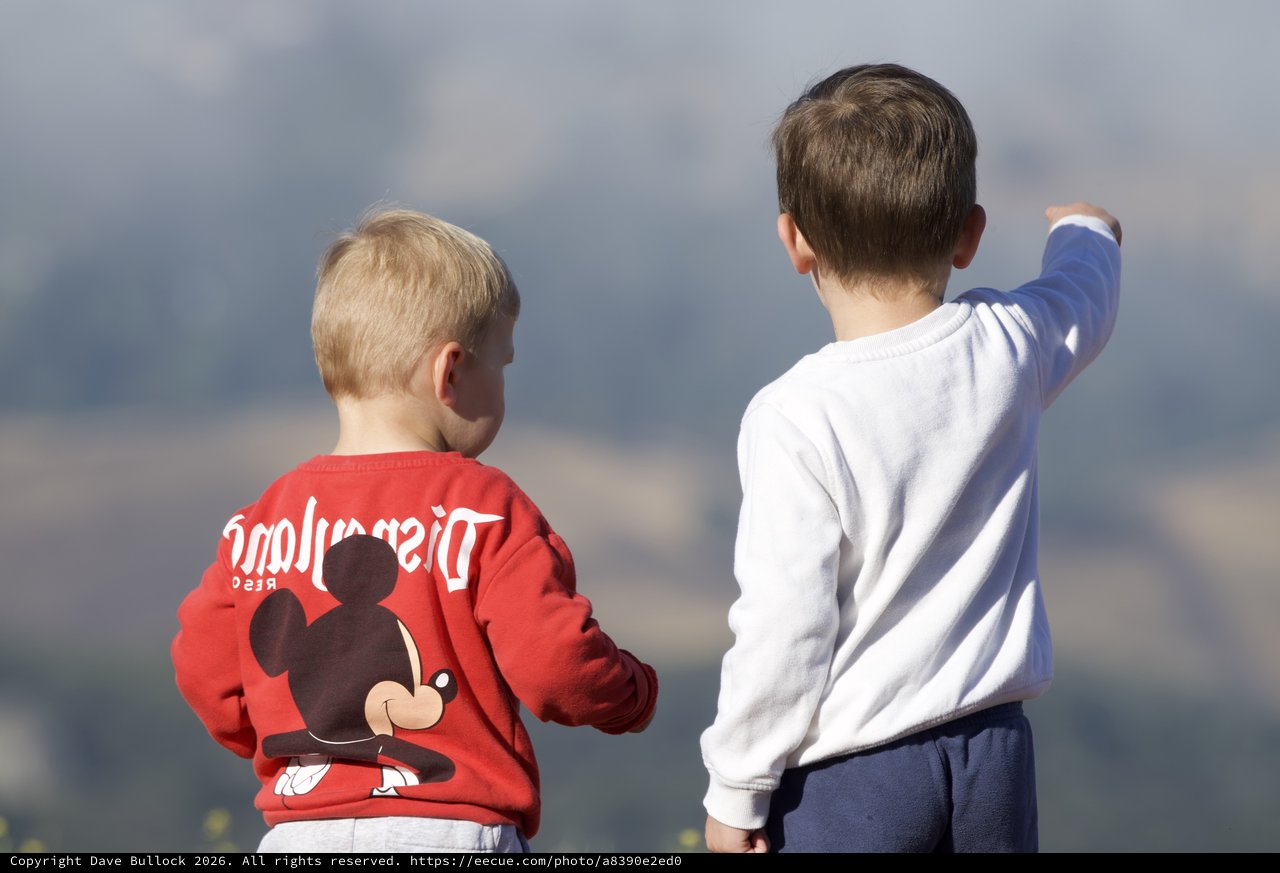 Two Boys Gazing at the Horizon from Mount Diablo