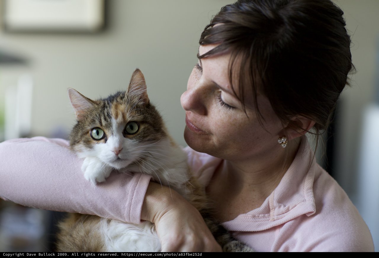Woman Tenderly Gazes at Her Calico Cat