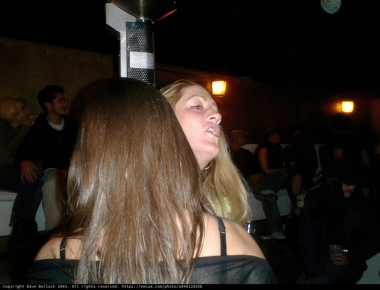 Nightlife at the Bar Counter