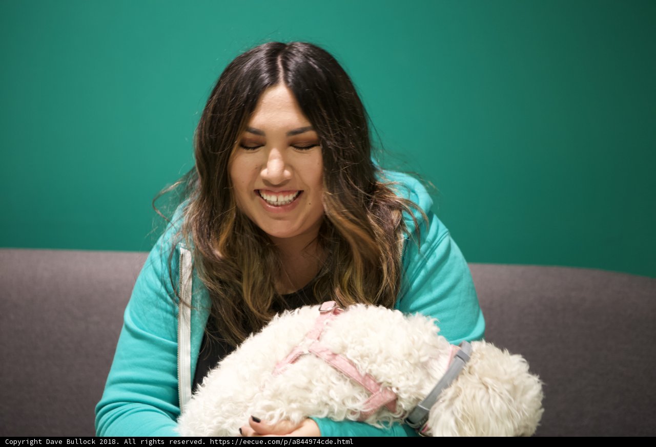 A Woman and Her Poodle: A Heartwarming Moment