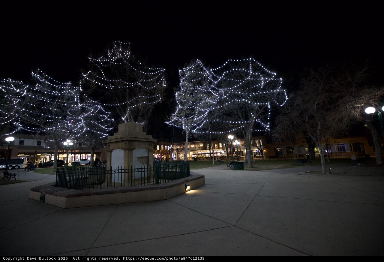 Illuminated Trees at Santa Fe Plaza at Night