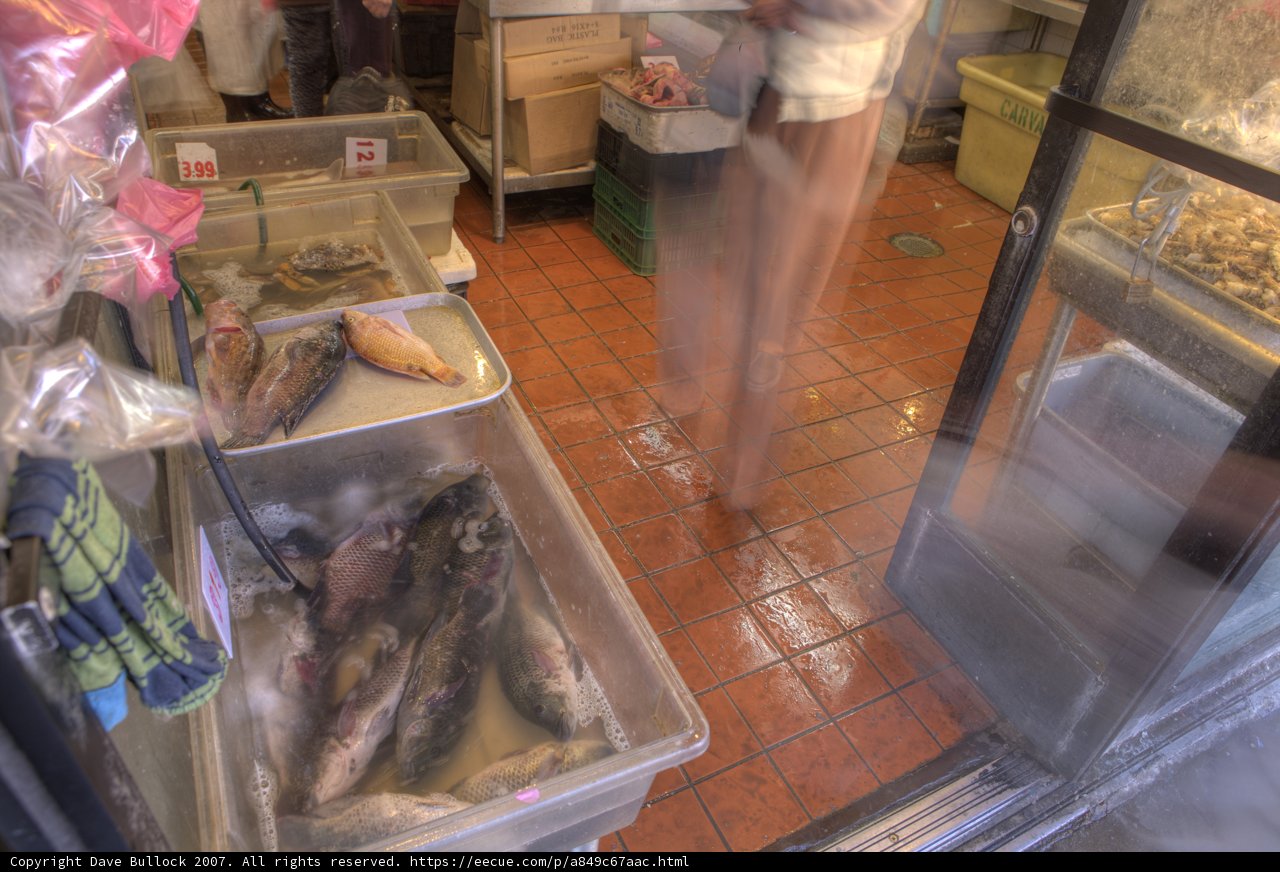 Fish Market Excursion