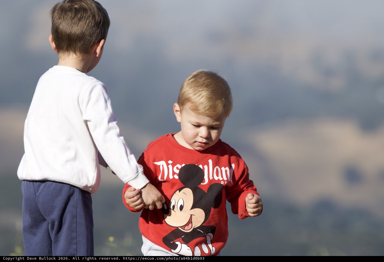 Two Young Brothers Hold Hands on Mountain Summit