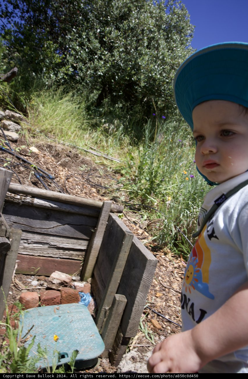 Little Explorer at Alemany Farm