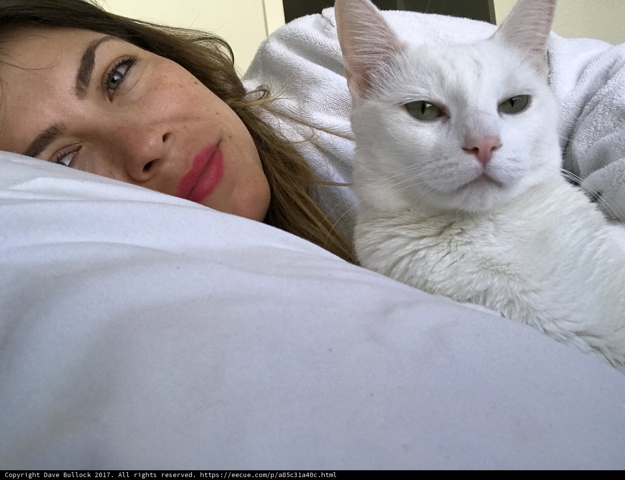 Cozy Morning with My Feline Friend