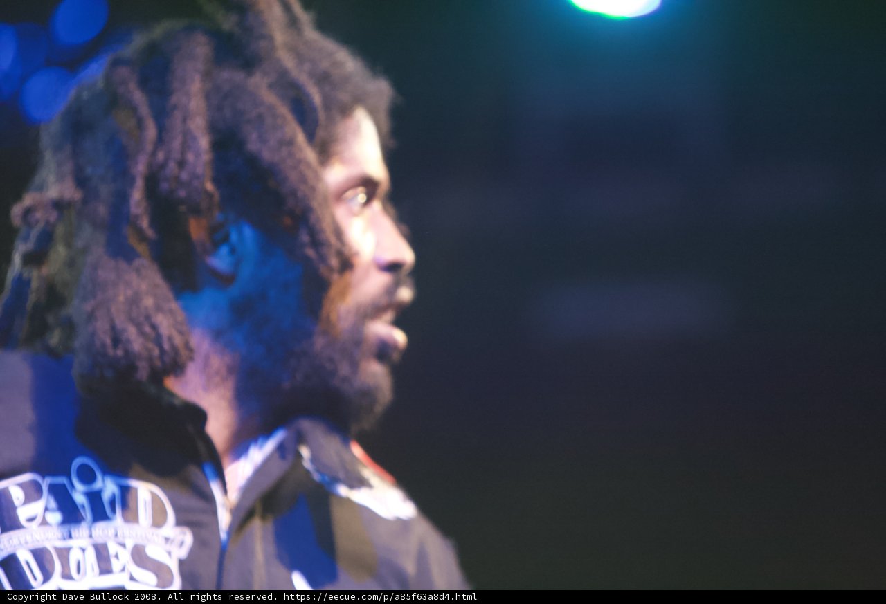 Dreadlocked Entertainer Rocks Coachella Crowd