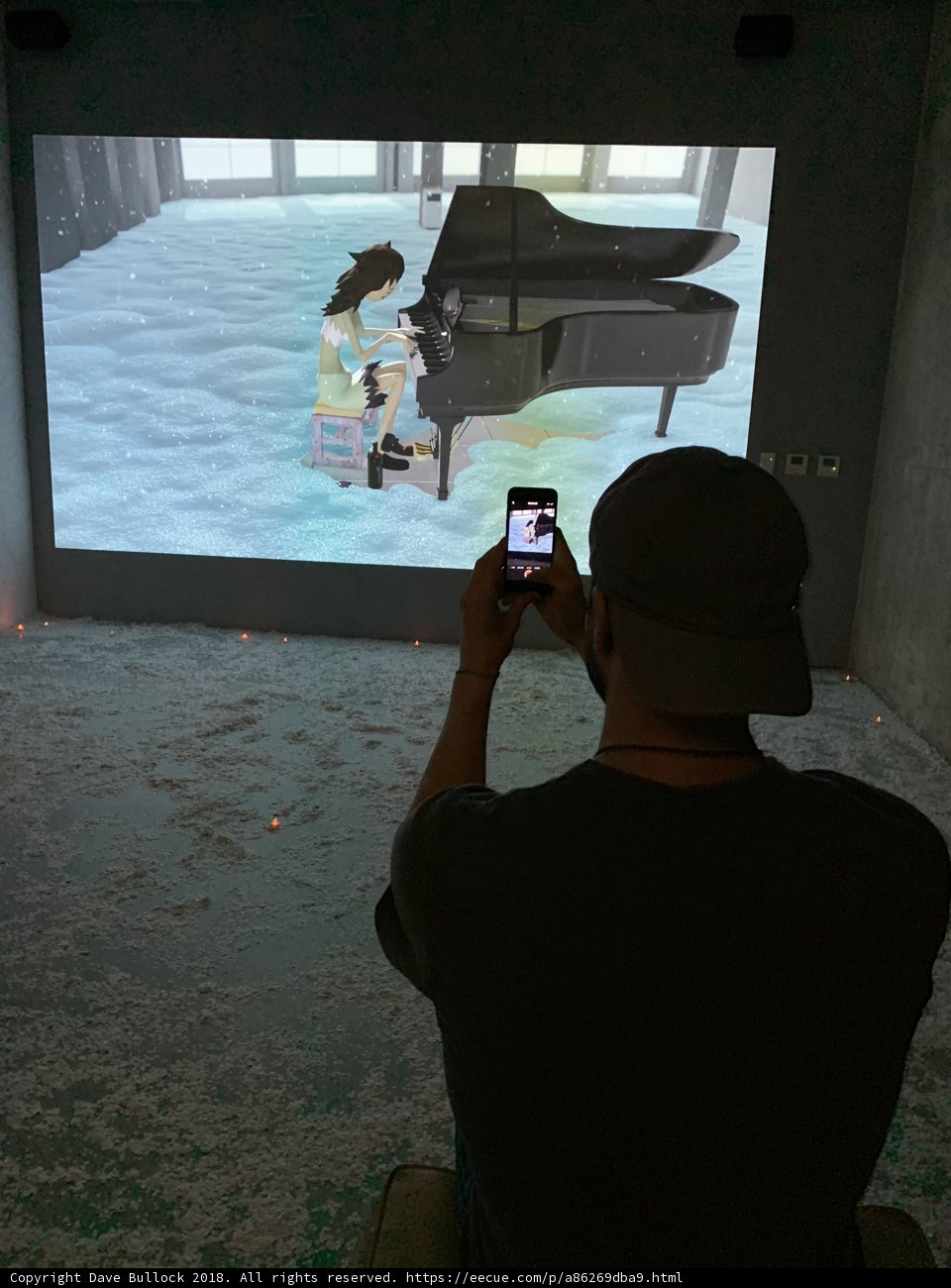 Capturing the Musical Magic