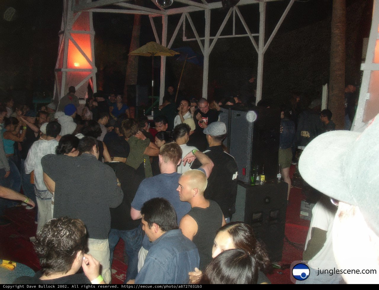 Party with a White Elephant at Ensenada's Nightclub