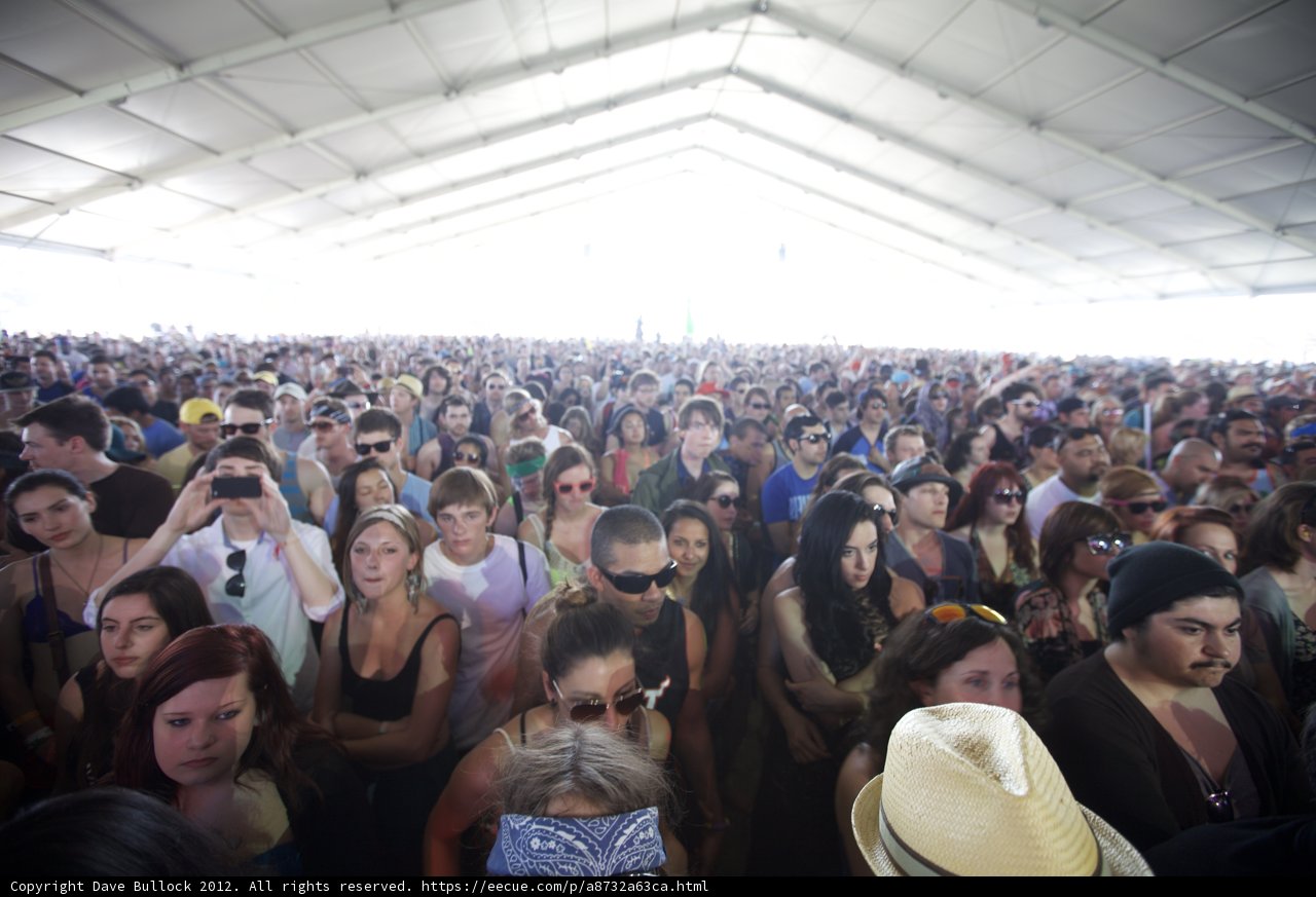 Coachella Crowd in Full Force