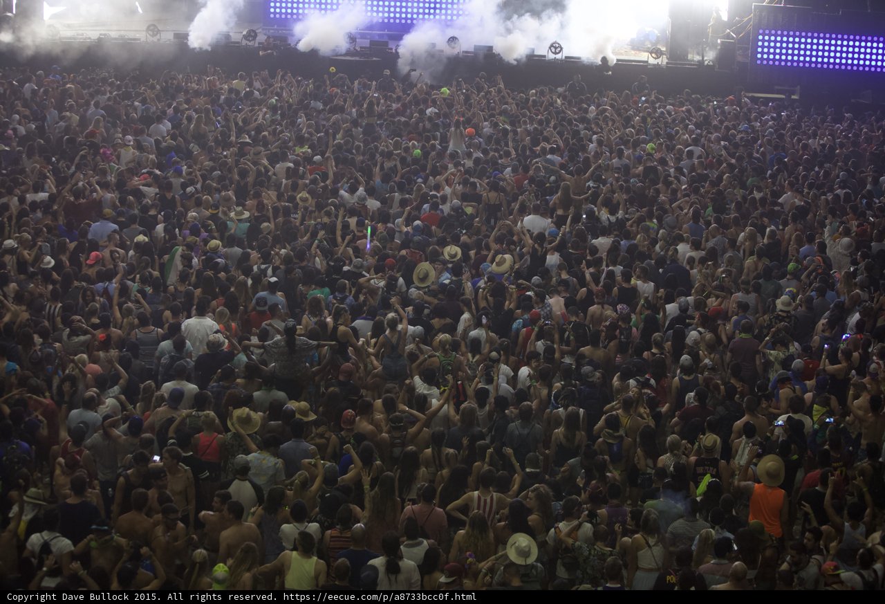 Rockin' with the Crowd