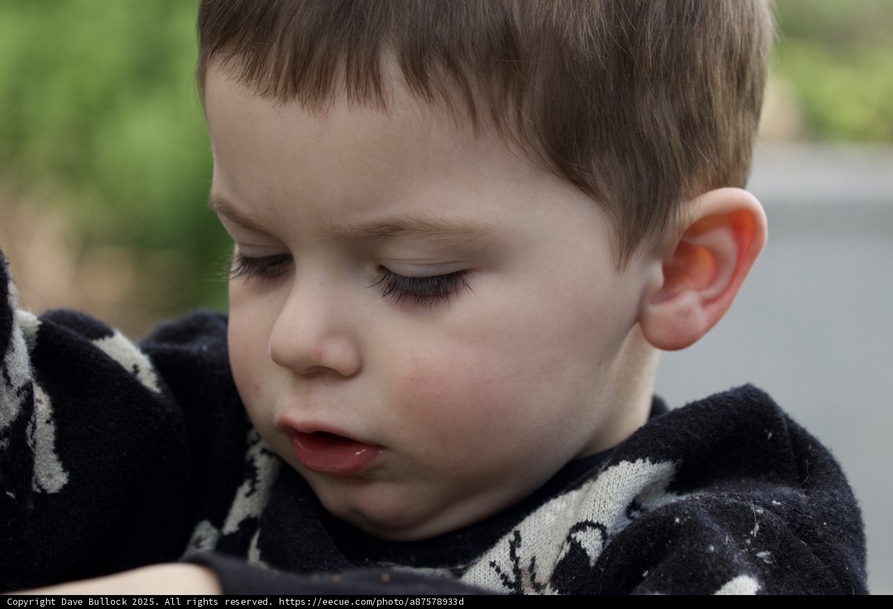 Pensive Moments