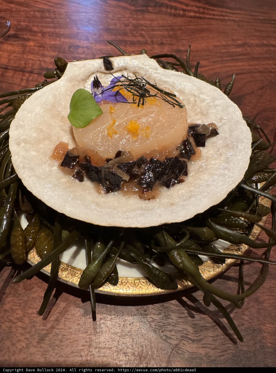 Exquisite Seafood Feast