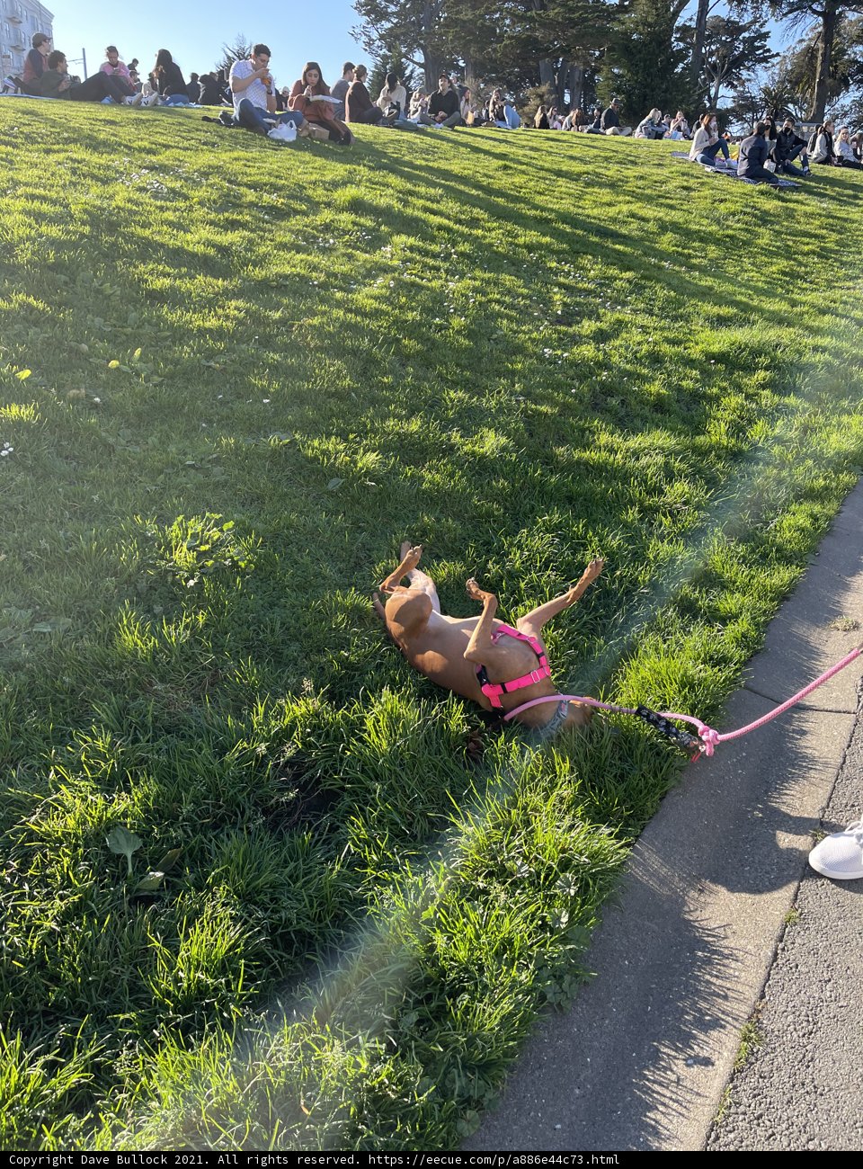 Resting in the Park