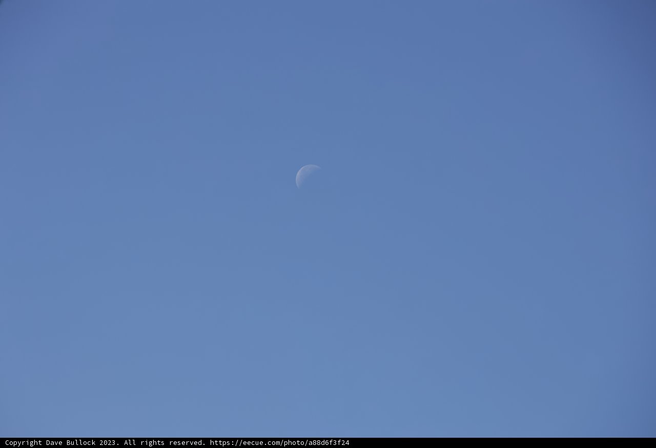 Soaring Beneath the Crescent