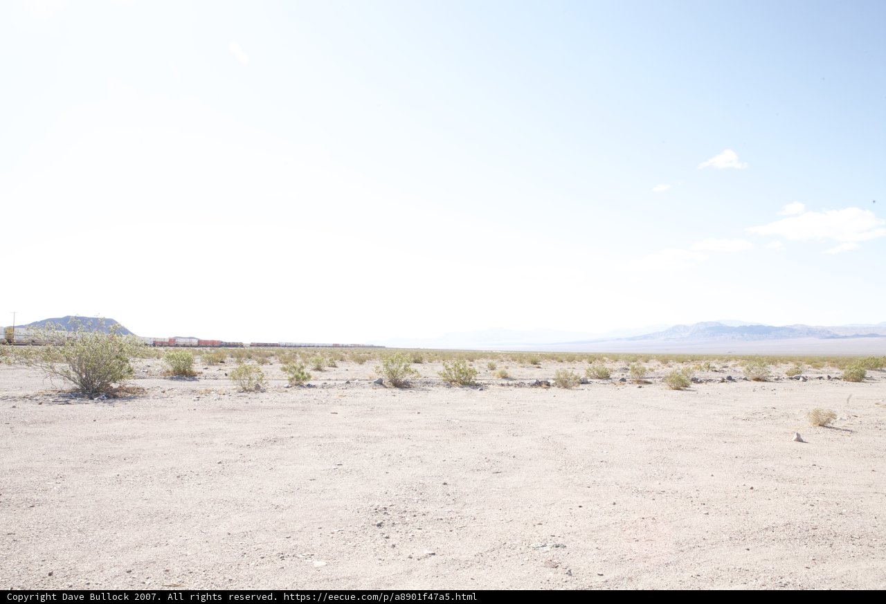 Kite Flying Adventure in the Desert