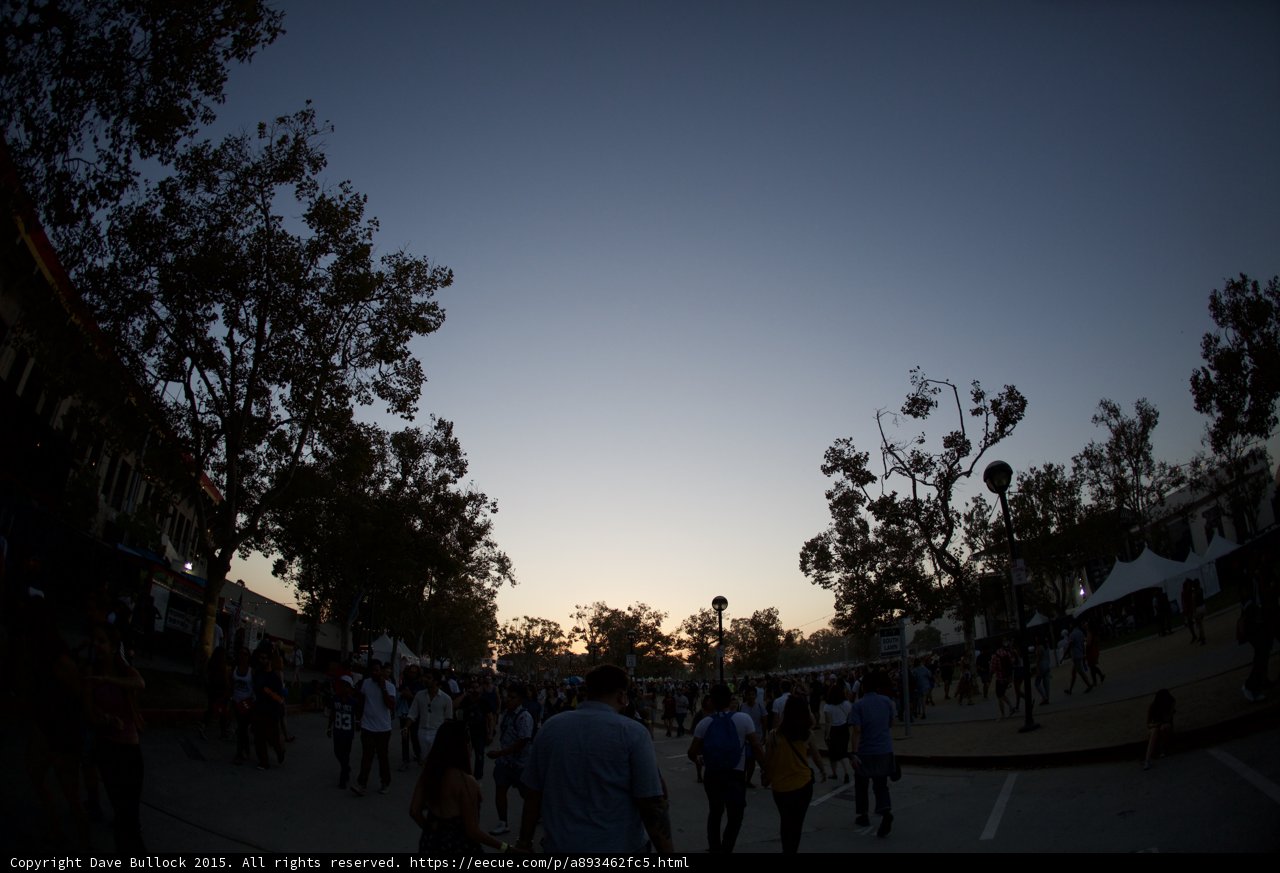 Twilight Festival Walkway