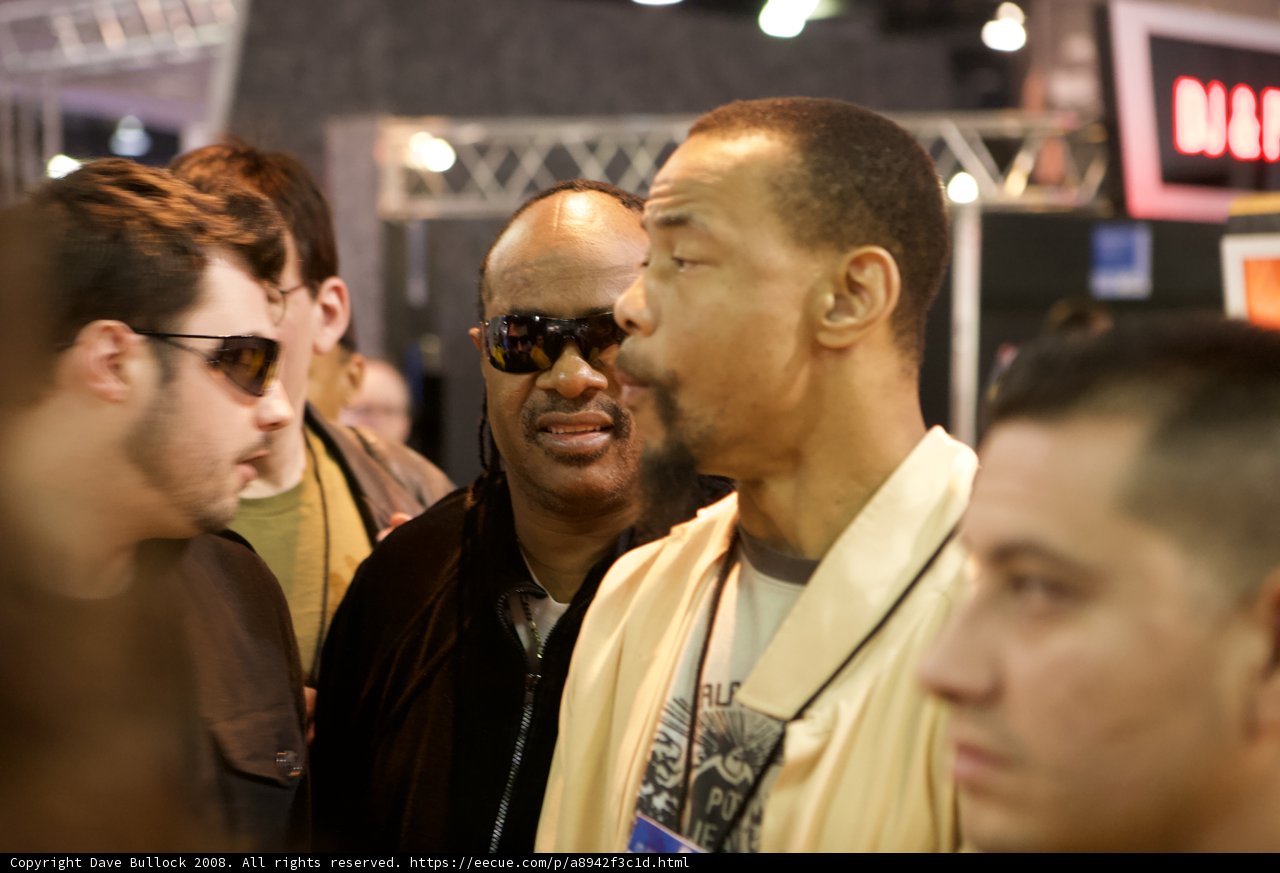 Stevie Wonder Rocks Sunglasses