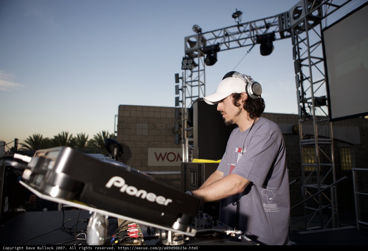 DJ under the Palm Trees