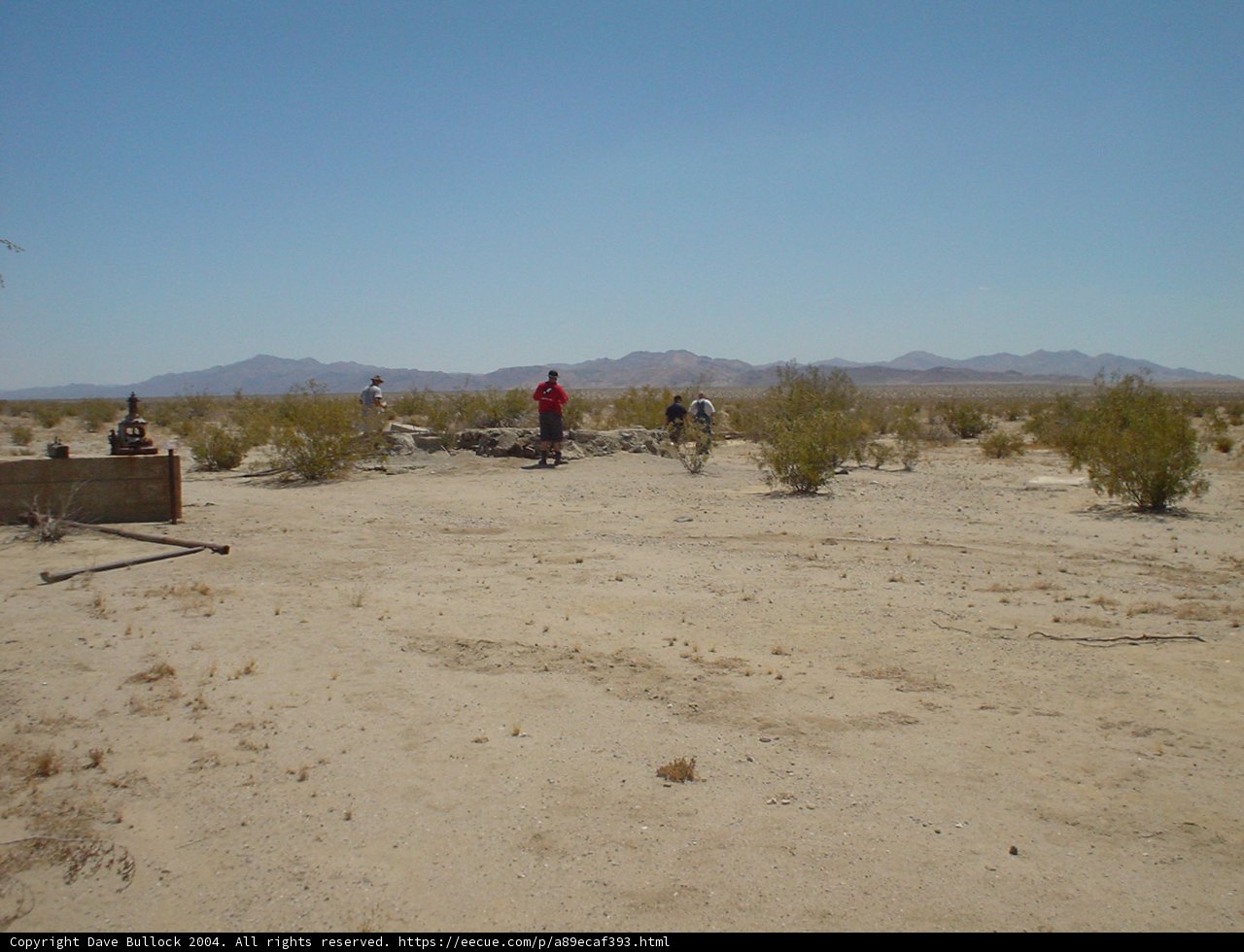 A Desert Gathering