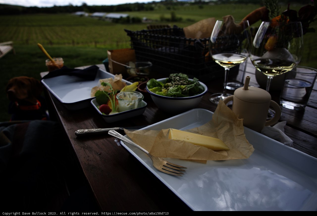 A Scrumptious Lunch at Scribe Vineyard, Sonoma
