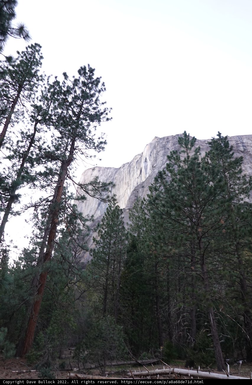 Majestic View from the Hilltop