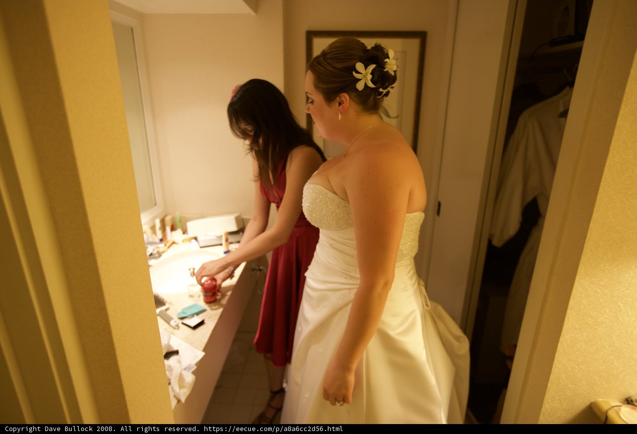 Wedding Dress Fitting