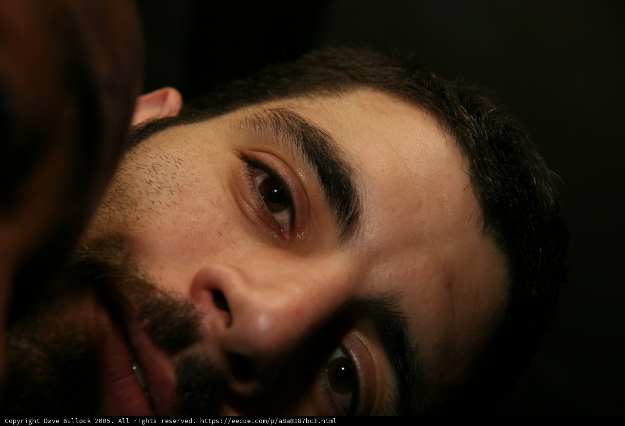The Bearded Man