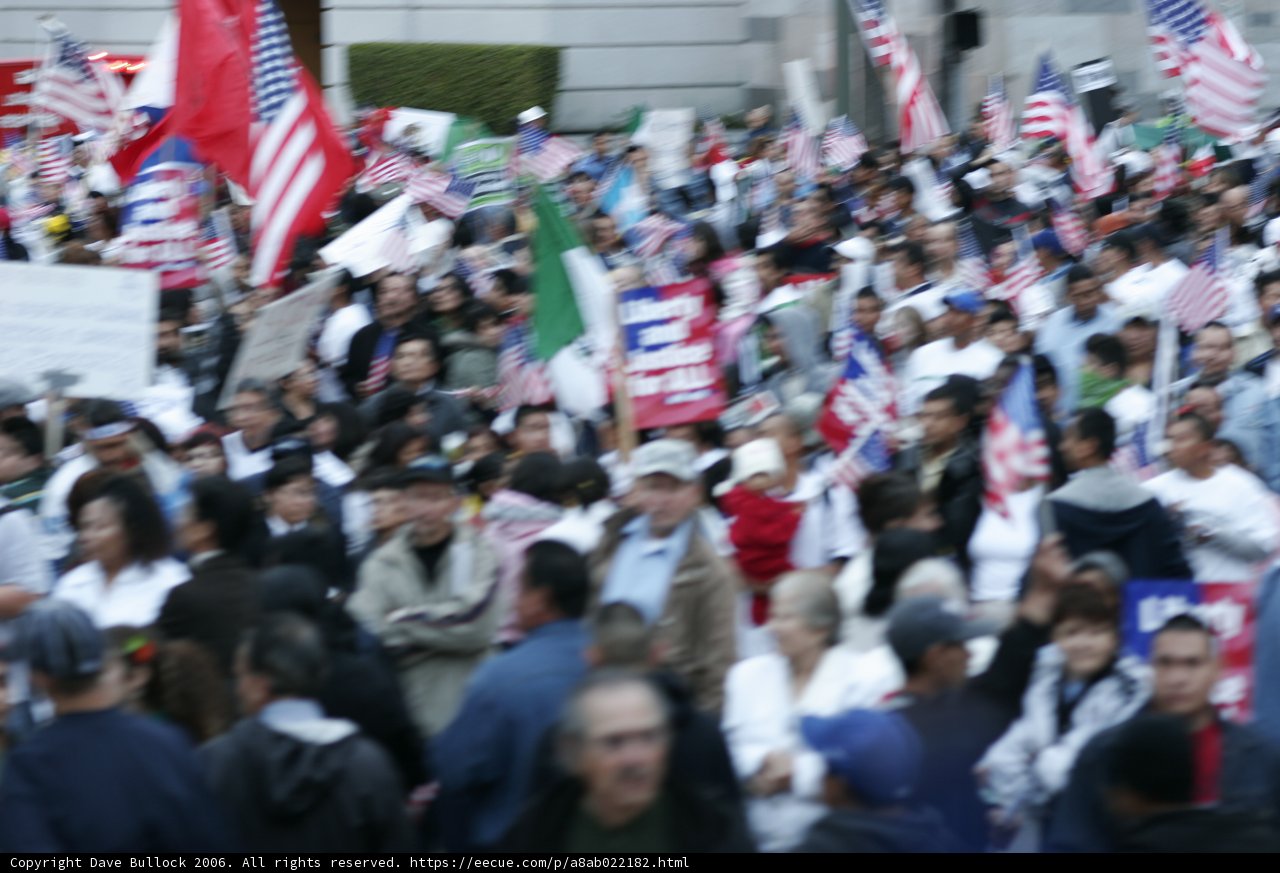 Patriotic Crowd