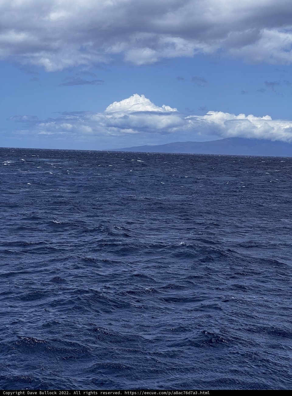 Serenity of the Horizon