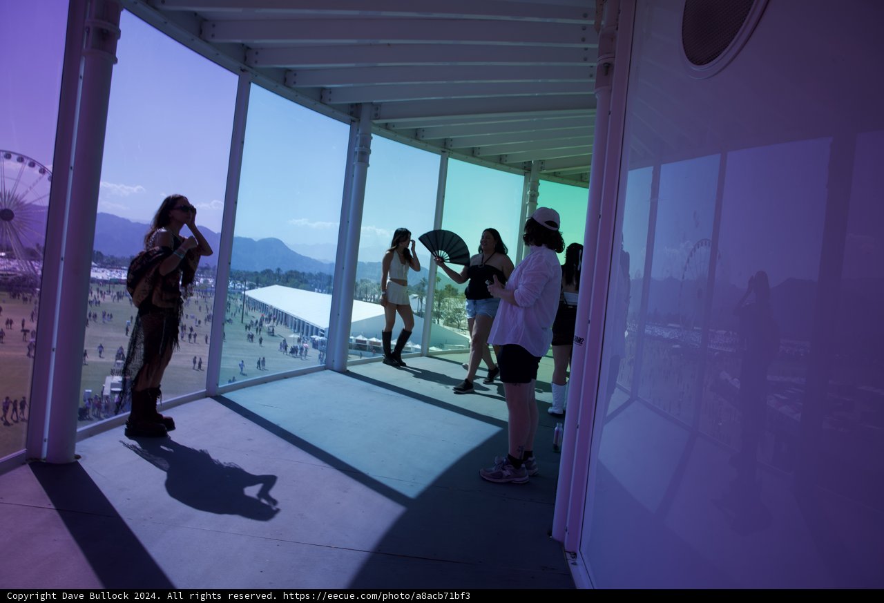 Ode to Violet: A Coachella Vista
