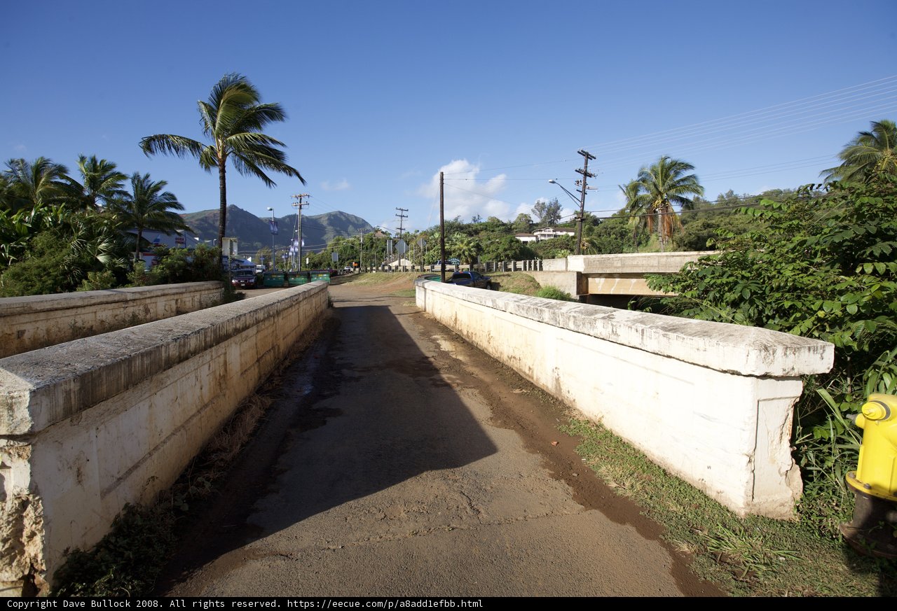 Tropical Bridge