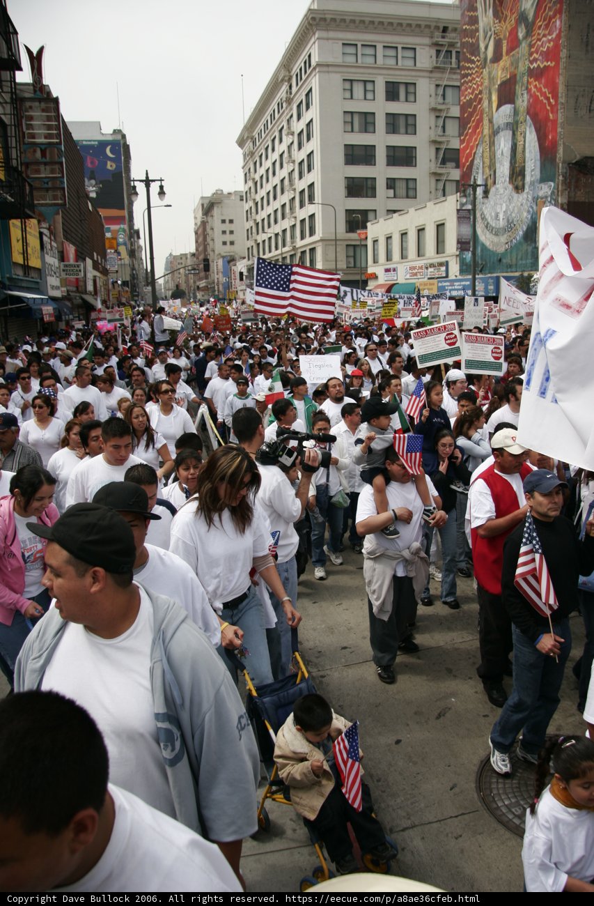 Massive Crowd Gathers for Spectacle