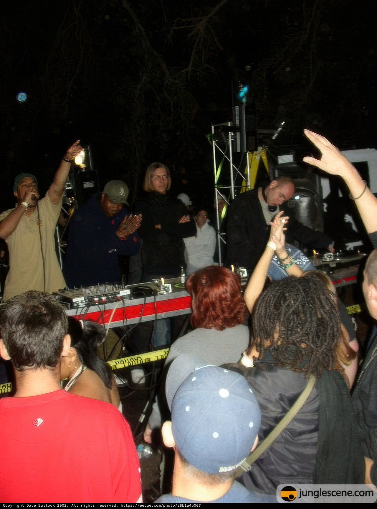 Summer Concert with DJ and Crowd